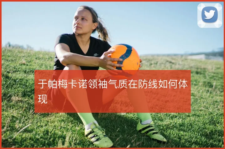 于帕梅卡诺领袖气质在防线如何体现