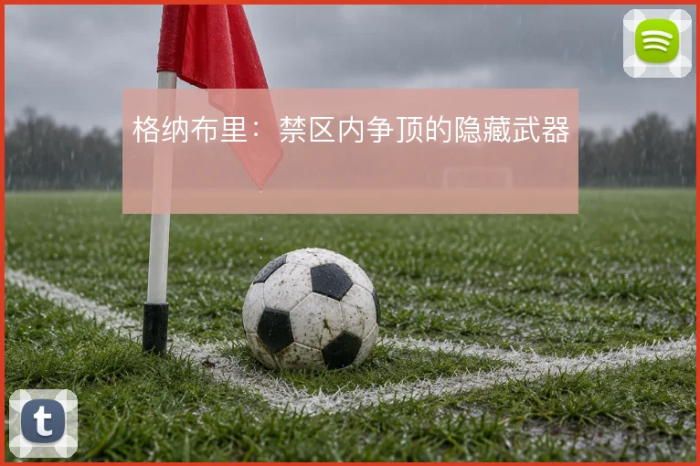格纳布里：禁区内争顶的隐藏武器