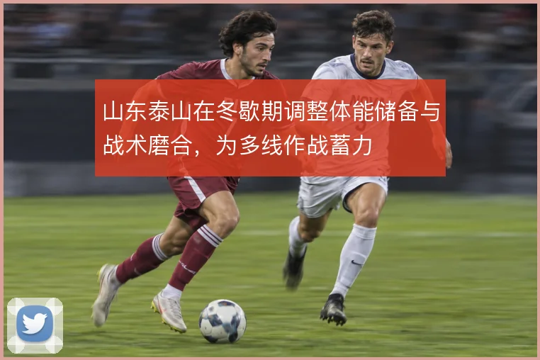 山东泰山在冬歇期调整体能储备与战术磨合，为多线作战蓄力