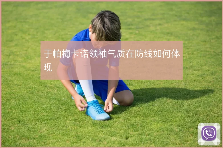 于帕梅卡诺领袖气质在防线如何体现