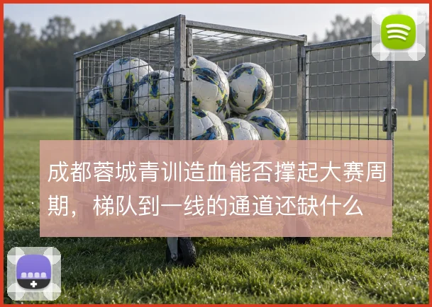 成都蓉城青训造血能否撑起大赛周期，梯队到一线的通道还缺什么