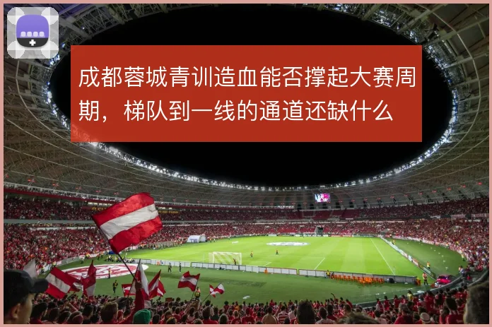 成都蓉城青训造血能否撑起大赛周期，梯队到一线的通道还缺什么