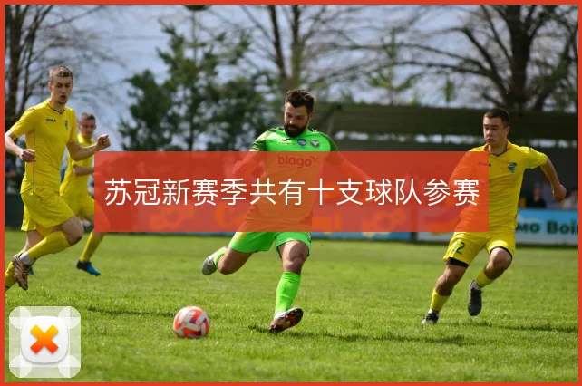 苏冠新赛季共有十支球队参赛